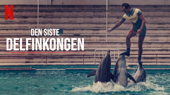 Den siste delfinkongen (2022)